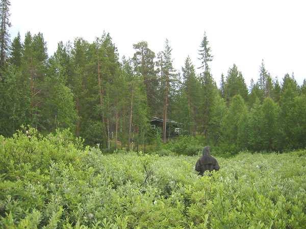 Tämä mökki on rinteessä törmän päällä puuston suojassa, mutta mökin edessä on soistunut alue, joka on lähes kulkukelvoton.