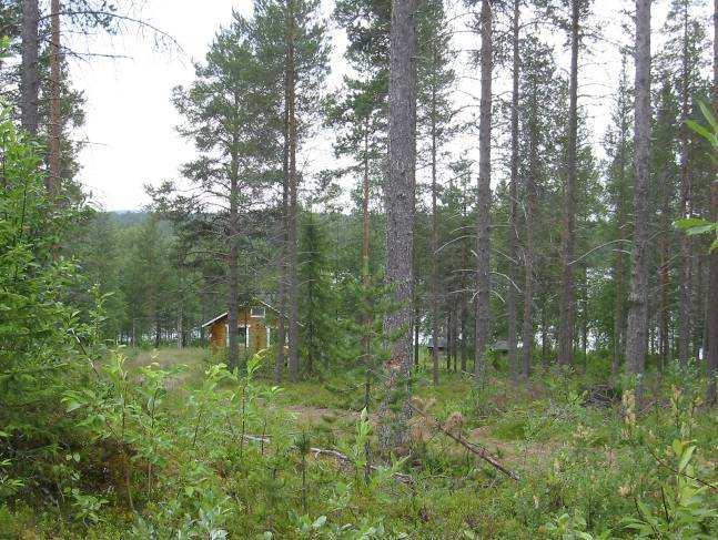 Kelujärven koilliskulmalla Seprulahdella loma-asutus sekä vakituinen asutus ovat sijoittuneet rinteeseen. Talolta avautuu järvimaisema peltojen kohdalta, mökit ovat metsän suojassa.