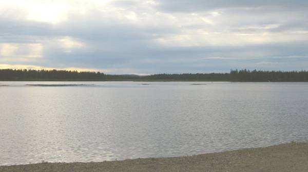 Kitisen laakso Kitinen on Kemijoen latvahaara. Joki alkaa maanselältä ja laskee Kemijokeen Pelkosenniemellä. Maisema-alueena Kitisen laakso on suuri.
