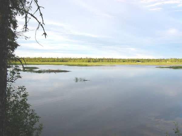 Kitisen länsiranta on rakennettu voimalaitokselta Känsäsaarenmaahan saakka. Rakennetut rannat on maisemoitu. Myös itärannalla on rakennettuja kohtia.