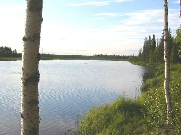 Kitisen länsirannalla Känsäsaarenmaalla on rakentamista, joka on puuston suojassa. Rakennuksilta on jokinäkymät.