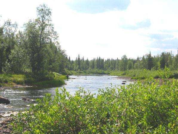 Ala-Postojoen alue Ala-Postojoki on Kitiseen laskeva pieni joki, jonka sivuhaaroja suunnittelualueella ovat Paskahaara ja Koserusjoki.