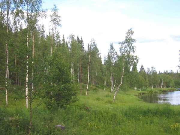 Nämä eroavat toisistaan siten, että yläjuoksu on kuivempi ja alajuoksulla laakso on leveämpi ja rannoilla on enemmän metsäistä suota.