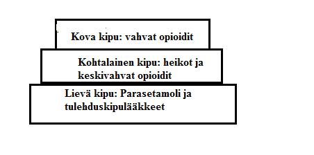 27 Suonensisäisesti annosteltavia opioideja ovat morfiini, oksikodoni, fentanyyli, tramadoli ja buprenorfiini (taulukko 4).