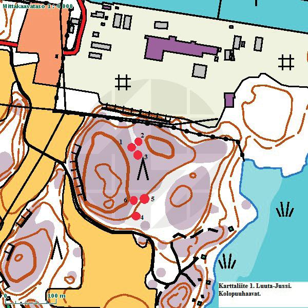Suomen Luontotieto Oy Naantalin Kukolan asemakaavan muutosalueen lepakkokohteiden tarkastus
