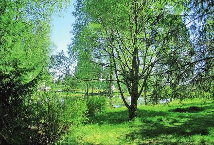 taipale Ortodoksisuus tutuksi -sunnuntait 15.9. isä Kalevi Kokkonen: Sakramentit (Liperin tsasouna) 20.10. isä Mikko Sidoroff: Kasteen ja voitelun sakramentit 17.11.