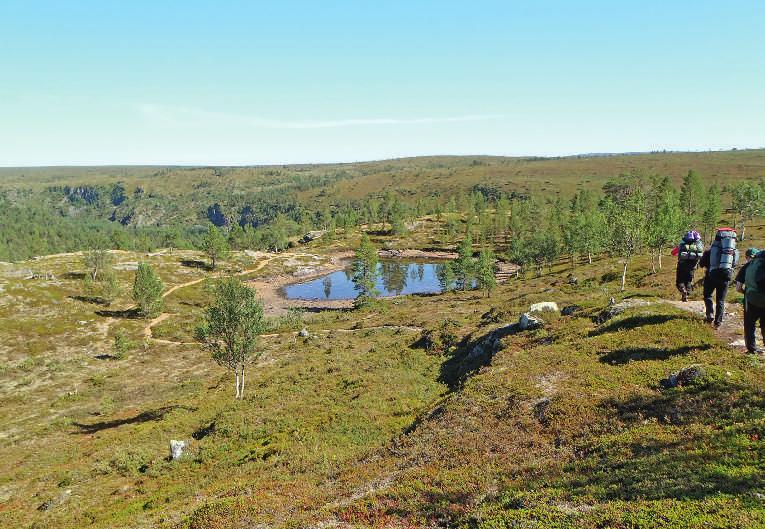 joensuu Viimeinen kerta? Seurakunnan nuorisotoimisto järjesti tänäkin kesänä vaellusreissun Lappiin, tällä kertaa Kevon luonnonpuistoon. Matkoja on tehty jo yli 30 vuoden ajan.