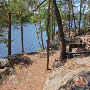 Jänis sen sijaan leikkaa hampaillaan oksan poikki siististi.