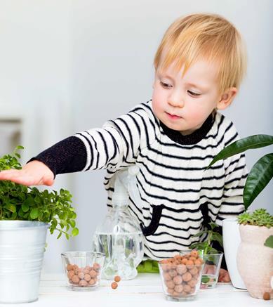 LAPE muutosohjelman toteutuminen Pirkanmaalla Pippuri Alueellisesti laaja; mukana ovat kaikki maakunnan kunnat. Monitoimija; mukana ovat kunnat, järjestöjä, seurakuntia sekä yksityisiä toimijoita.