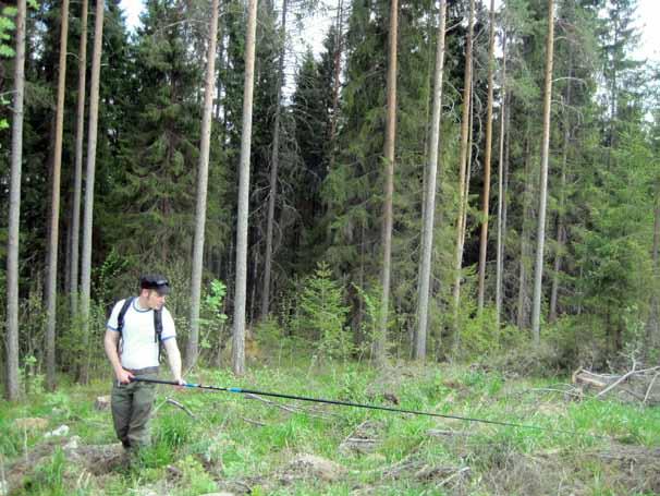 kuva: Mari Sarvaala Kuva: Tiina Ojansivu Taimesta taloksi -retkeily järjestettiin 24.5.