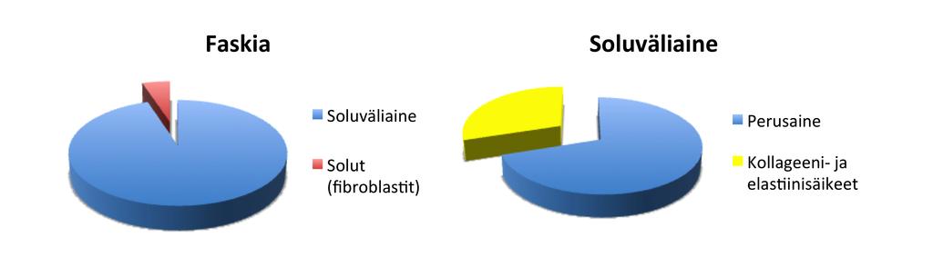 54 Liite 2 (6/38) Faskian rakennusaineet Keho koostuu neljästä solujen päätyypistä: hermosolut, lihassolut, epiteelisolut sekä tukikudossolut.