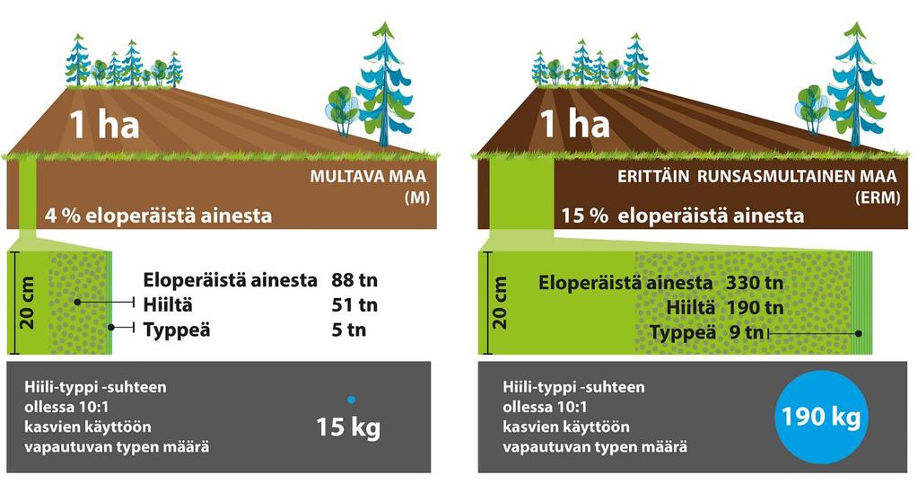 Runsaasti eloperäistä ainesta sisältävä pelto on hiili- ja typpivarasto Lähde: Mattila, T. 2015.