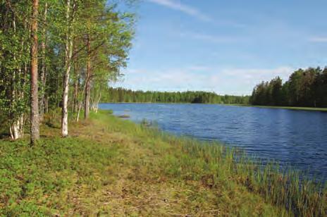 Riistaja kalatalouden tutkimuslaitoksen (RKTL) koordinoimien riistakolmiolaskentojen avulla saatuihin metson keskimääräisiin tiheyksiin verrattuna metsojen määrä on Metsälän hankealueella kerätyn