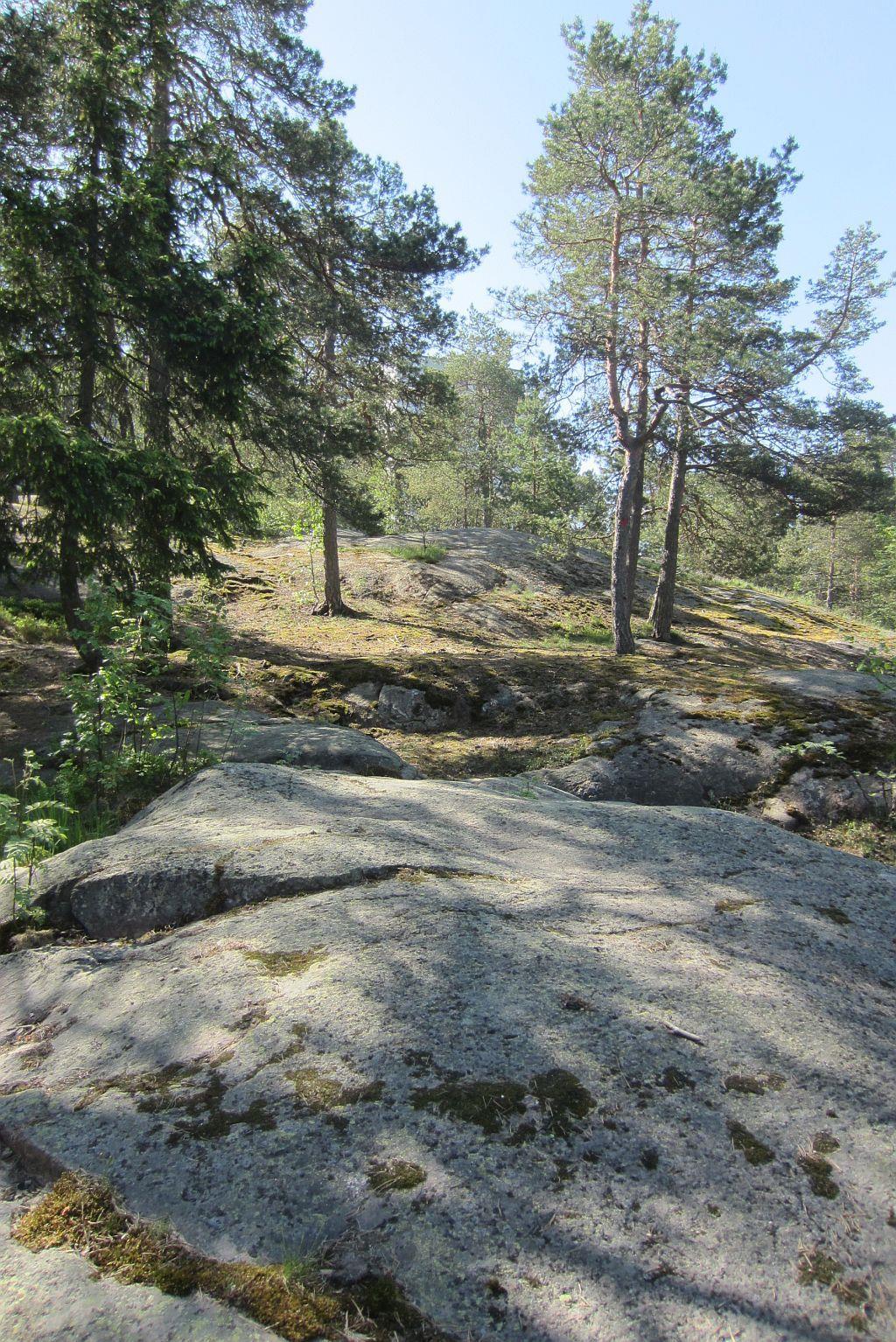 Kuvion 2 poikki kulkee kevyen liikenteen väylä, joka jakaa kuvion kahteen hiukan toisistaan poikkeavaan osaan.