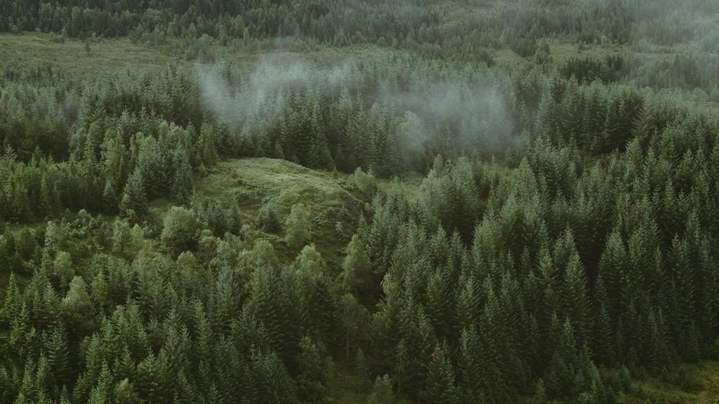 PUUHAKE ON KILPAILUKYKYINEN POLTTOAINE PK-YRITYKSILLE TOMI