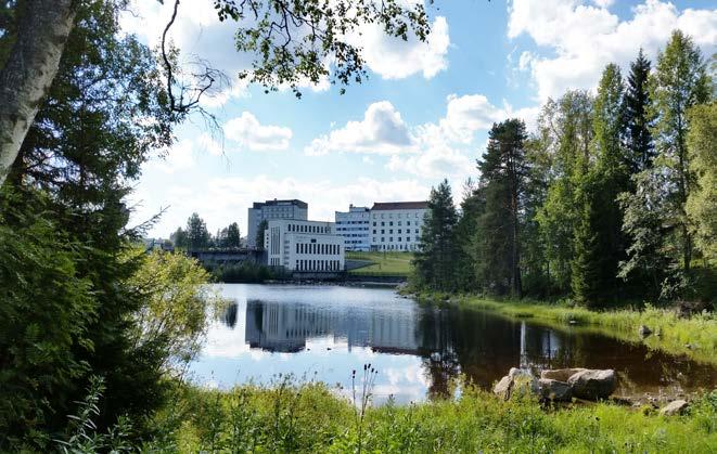 2 kuului läpi kaupungin. Kun kosket padottiin, myös joen luonne muuttui.