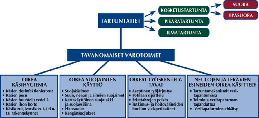 10 Tavanomaisissa varotoimissa on neljä osa-aluetta (Kaavio 1): oikea käsihygienia, oikea suojainten käyttö, oikeat työskentelytavat sekä neulojen ja terävien esineiden oikea käsittely (VSSHP 2016c).