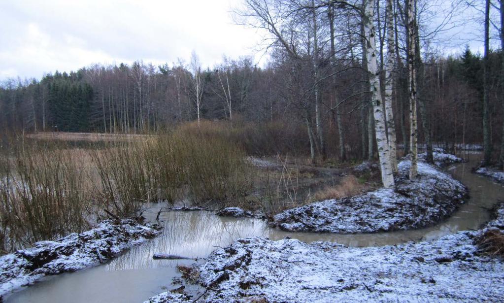 Rakenteen pitkäaikaiskestävyys Patorakenteissa etenkin ensimmäinen talvi ja ensimmäiset isommat sateet osoittavat miten rakenne tulee kestämään.