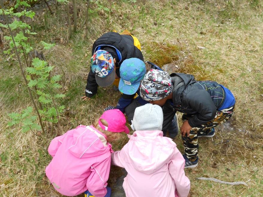 Oppiva yhteisö toimintakulttuurin ytimenä Pidämme tärkeänä avointa ja lämmintä vuorovaikutusta lasten ja aikuisten välillä. Henkilökunta suunnittelee, toteuttaa ja arvioi toimintaa pedagogisesti.