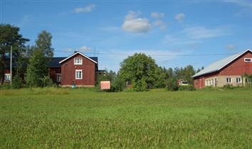 asuinrakennusta ja riihi 1800-luvulta ja kaksi navettaa 1940-50-luvuilta. historia: Vanhan Päkin tilan pihapiirin rakennukset on jaettu kolmeen osaan: Päkin, Päivölän ja Päiväniemen tiloihin.