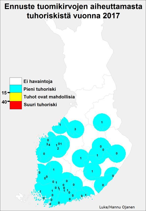 Tuomikirvakesä 2017 Tuomikirvan talvimunaennusteen mukaan riski pieni /olematon - Kotimainen kanta