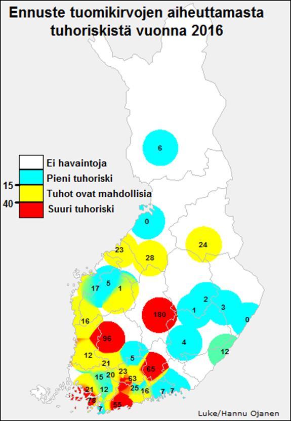 - Tuomikirvatuhot todennäköisiä Kirvoja keväällä tuomissa ja