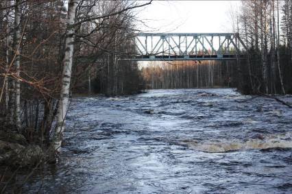 Naarakoski Kalastettu rantakaistale sijaitsi länsirannalla rautatiesillan yläpuolella alkaen mökin kohdalta ja päättyen lähelle niskaa (N 6947442, E 3430114).