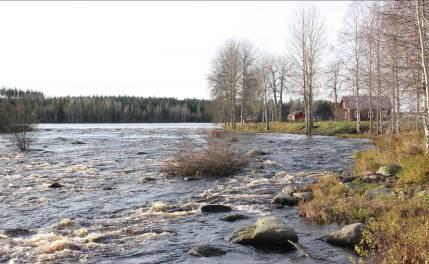Naarakoski alavirran suuntaan 25.10.2012. Summakoski Koekalastusalue sijaitsi kosken pohjoisrannalla (N 6950175, E 3420460) ladon ja niskalla olevan talon välillä.