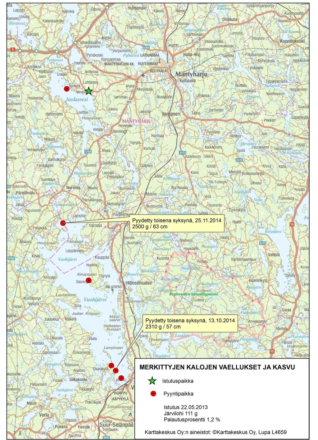 Istutus toukokuussa suoraan vesistöön Tulokset: - Kaikista merkintäerissä palautuksia tuli 100 250 km päästä istutuspaikasta.