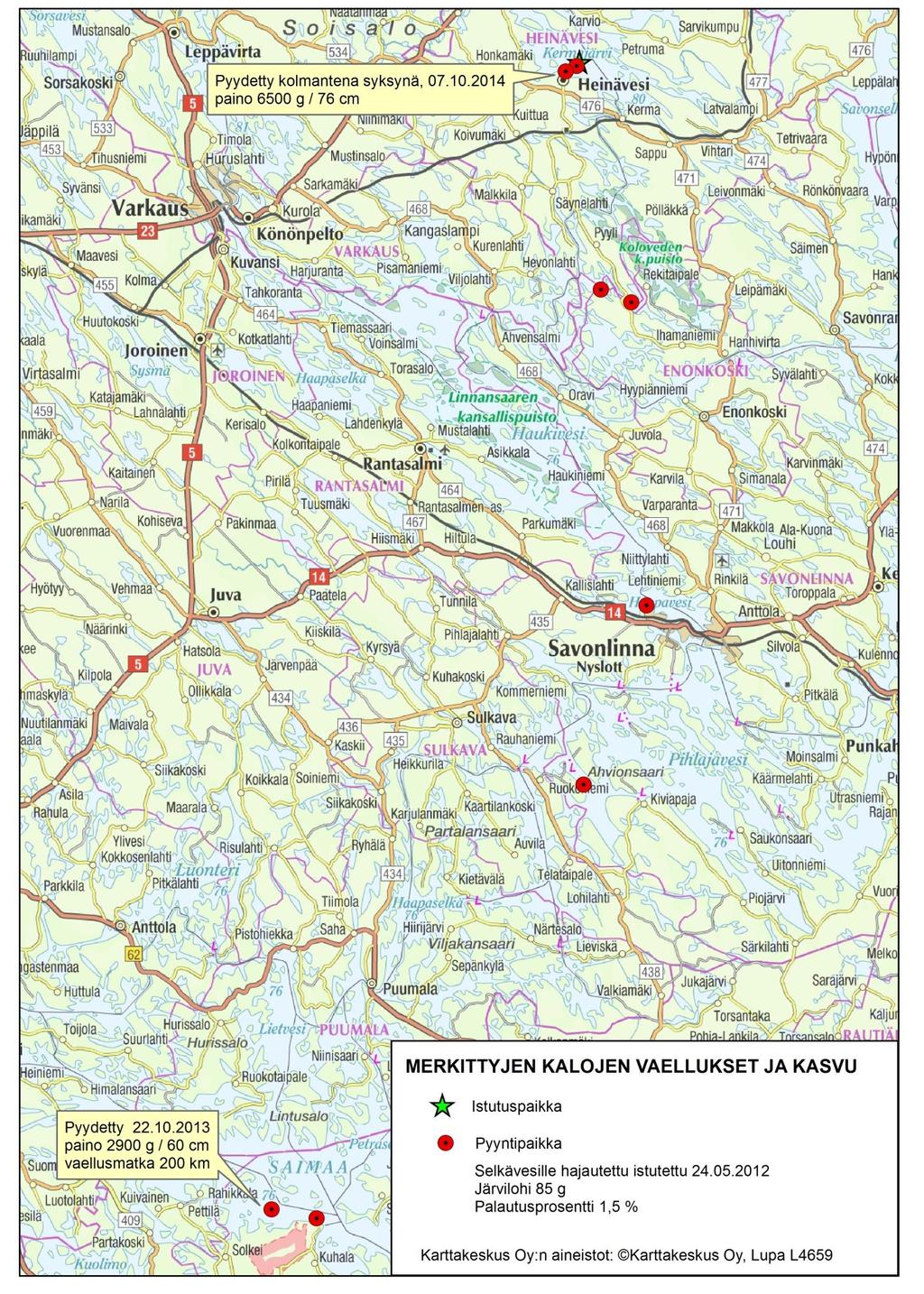 Istutus toukokuussa suoraan vesistöön Tulokset: - Kaikista merkintäerissä palautuksia tuli 100 250 km päästä istutuspaikasta.