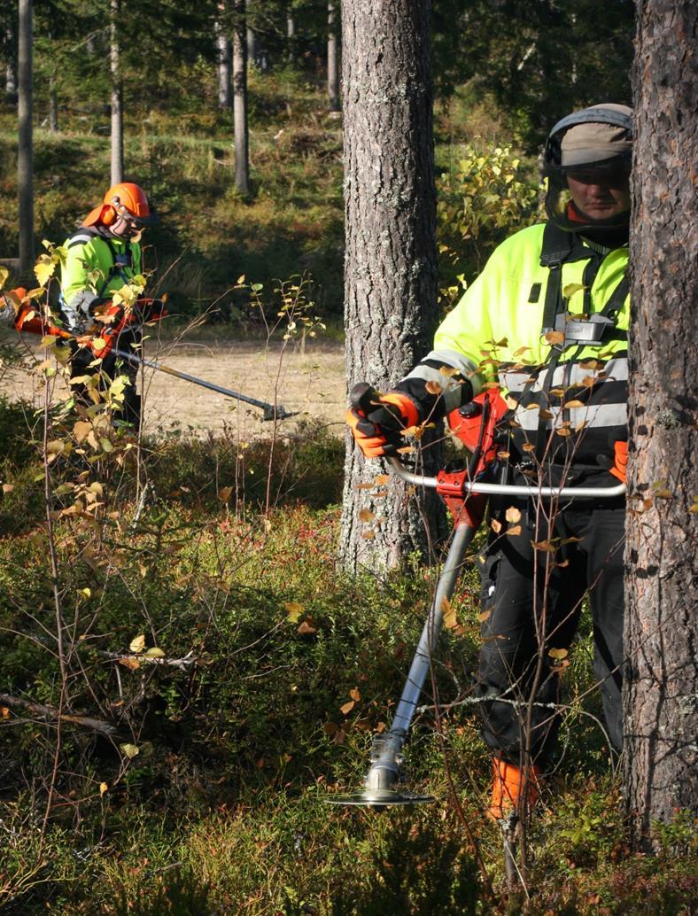 Kokemukset sakkolistalaisten työllistämisestä 2015 (27 he) Motivaation avaimet: Oikea, merkityksellinen työ Palkka, jolla tulee toimeen Työyhteisöön hyväksyminen Palaute,