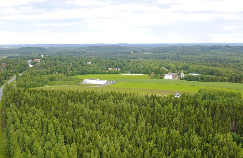 Koivumahlatien asemakaavan muutos