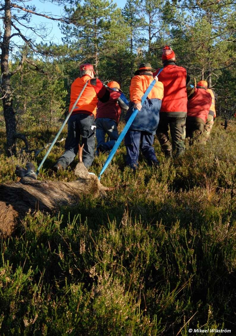 Metsästyksenjohtajan