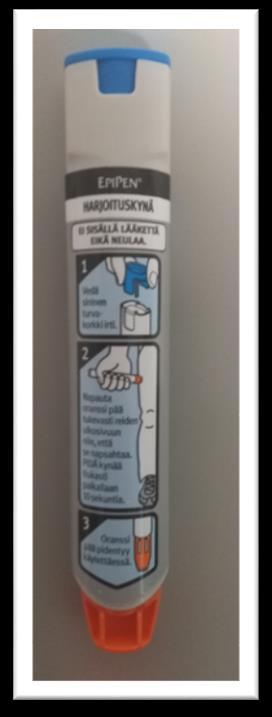 12 Kuva 1: EpiPen adrenaliinikynä Adrenaliinikynä (EpiPen Jr/ Epipen) annostelu: Lapsen paino (kg) Vahvuus Valmiste 10-30kg 0,15mg EpiPen Jr yli 30 kg 0,3 mg Epipen Taulukko 3: Adrenaliinikynän