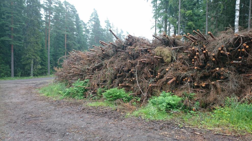 Metsätähteestä tehdyn metsätähdehakkeen laatu vaihtelee eniten ja sen laatu on eniten riippuvainen onnistuneesta varastopaikkasta ja