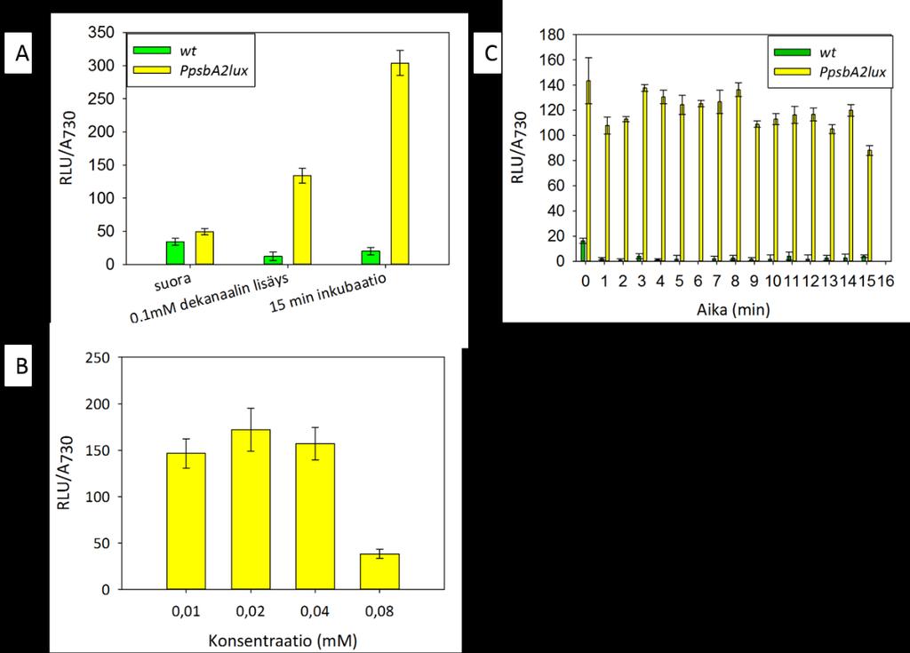 Kuva 11. Synechocystis villityypin (wt) ja Synechocystis PpsbA2lux:n tuottama luminesenssi mitattuna suoraan 200 l:sta soluja BG-11-mediumissa, 0.