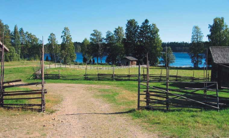 Korteniemen perinnetilaa
