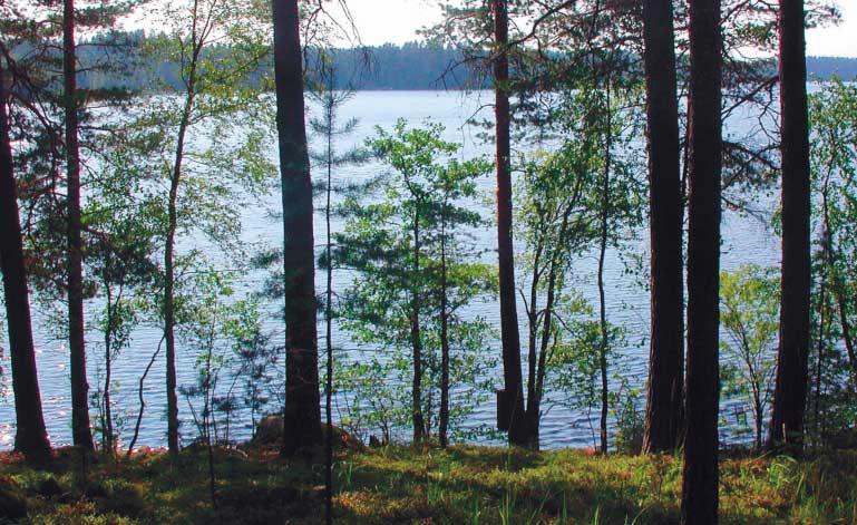 Liesjärveä Joensuunnokasta etelään. Heli Jutila, JÄRKI-hanke 25.8.2005. käsitteli mustat jätevetensä imeytyskentässä tai -ojastossa. Käytetyin vessaratkaisu oli kuivakäymälä.