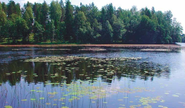 kasvien käyttöön. Säätösalaojitus, säätökastelu ja valumavesien kierrätys ovat kaikki ympäristötuen erityistuen toimenpiteitä.