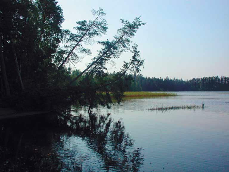 asunnoilta. Yhteisastiamaksu laskutetaan kaikilta niiltä kiinteistöiltä, jotka eivät ole liittyneet alueella järjestettyyn säännölliseen jätteenkuljetukseen.