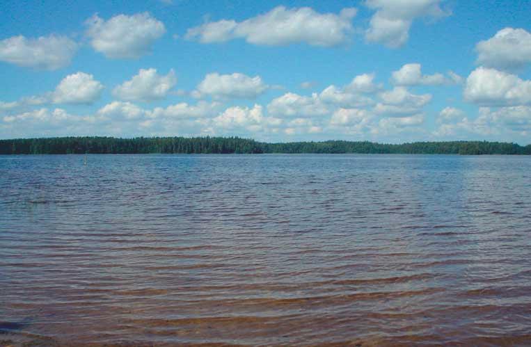 Liesjärveä Joensuun
