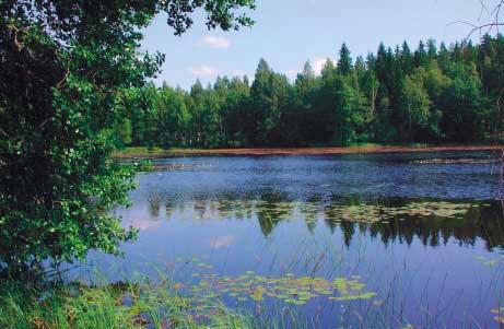 LIESJÄRVI PÄHKINÄNKUORESSA Sijaitsee Tammelan, Nummi-Pusulan ja Someron alueilla Helsinki Pori -valtatien varressa. Loimijoen vesistöalueen suurin latvajärvi ja Turpoonjoen alueen keskusjärvi.