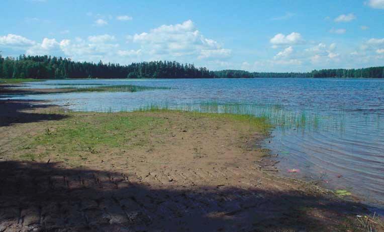 Joensuun hiekkarantaa.