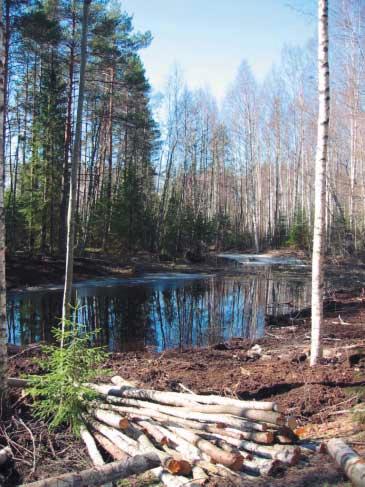 Joensuun eteläisempi