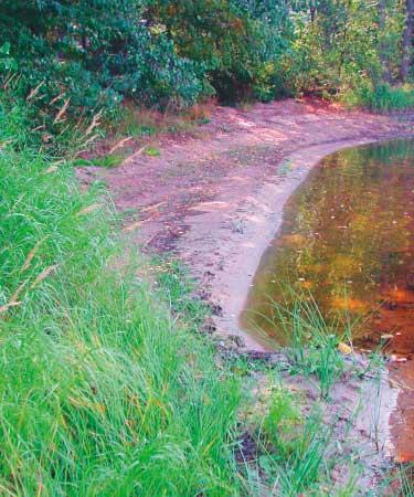 JÄRKI-hanke, Kevät 2005.