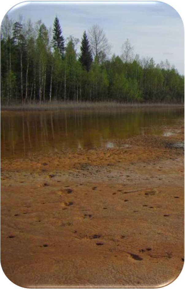 Ympäristöhaittojen vähentäminen Kaivannaisjätealueiden hallinta ja monitorointi Mineralogia ja vesien kemiallinen laatu Ehkäistä haponmuodostus Pohjan rakenne ja tiiveys, patotyyppi Pölyämisen