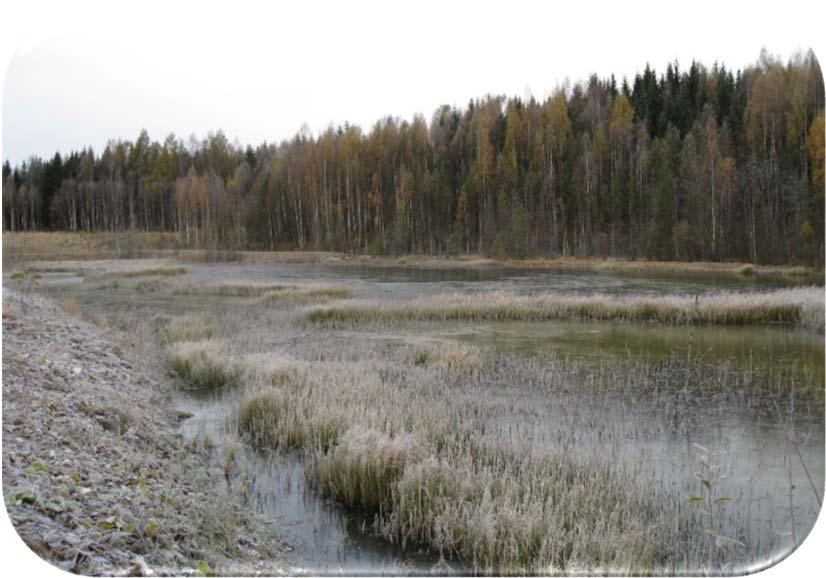 Vesien käsittely, passiivisesti Kosteikkoratkaisut Aerobiset (hapelliset)