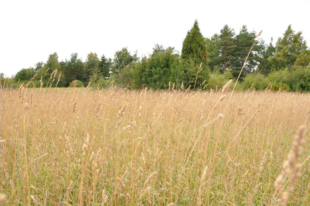 Kantatie 43:n kevyen liikenteen väylän