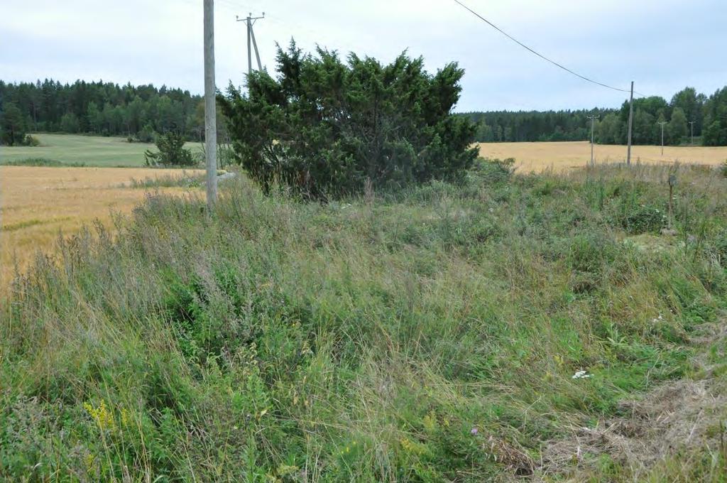 Röykkiö on kuvan keskellä, joutomaalla matalan