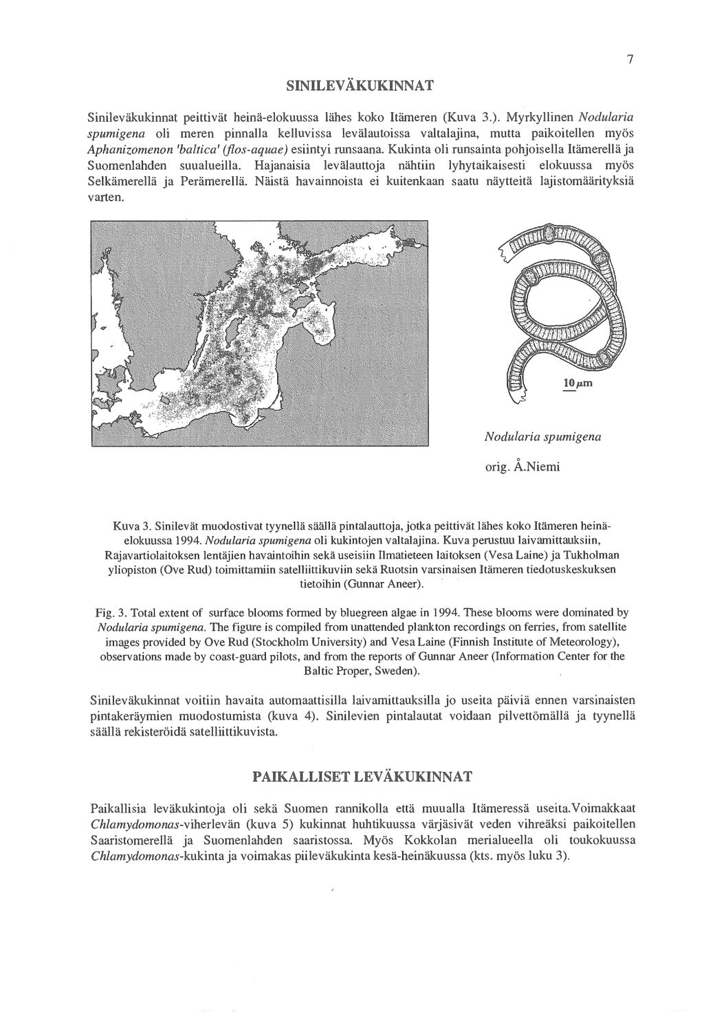 7 SINILEVÄKUKINNAT Sinileväkukinnat peittivät heinä-elokuussa lähes koko Itämeren (Kuva 3.).